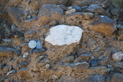 Figure 3. Biface in situ in the Mavroseli cut bank. Broken distal end to right. Coin diameter: 25mm.
